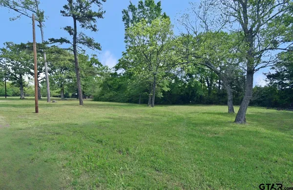 a backyard of a house with plants and large trees
