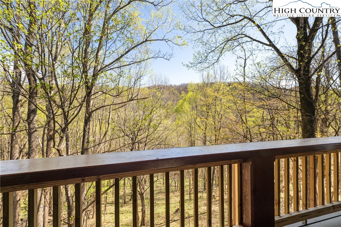 1293 Orchard Lane Boone, NC 28607 - Photo 11 of 48 Gallery Image 11