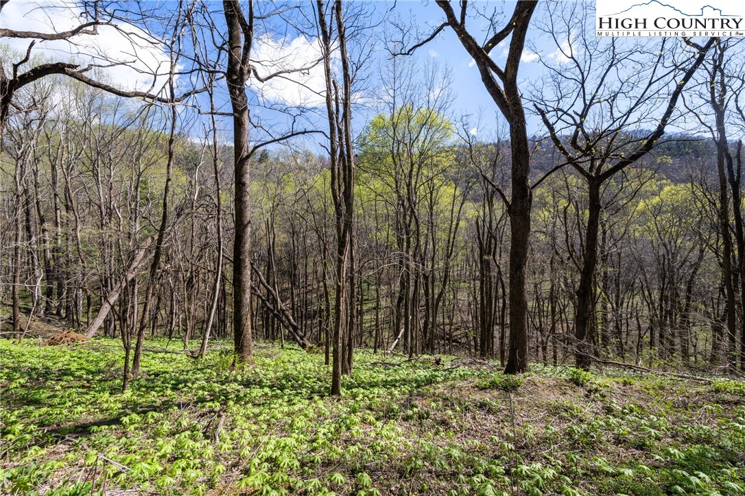 1293 Orchard Lane Boone, NC 28607 - Photo 45 of 48 Gallery Image 45