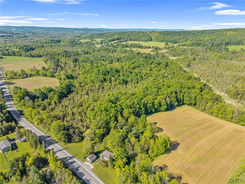 Nelson Road Cazenovia, NY 13035 - Photo 11 of 15