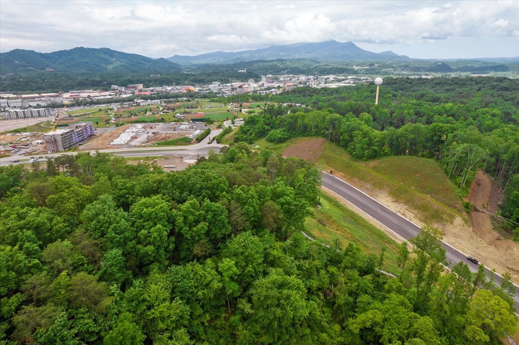 0 Jake Thomas Road Pigeon Forge, TN 37863 - Photo 2 of 8