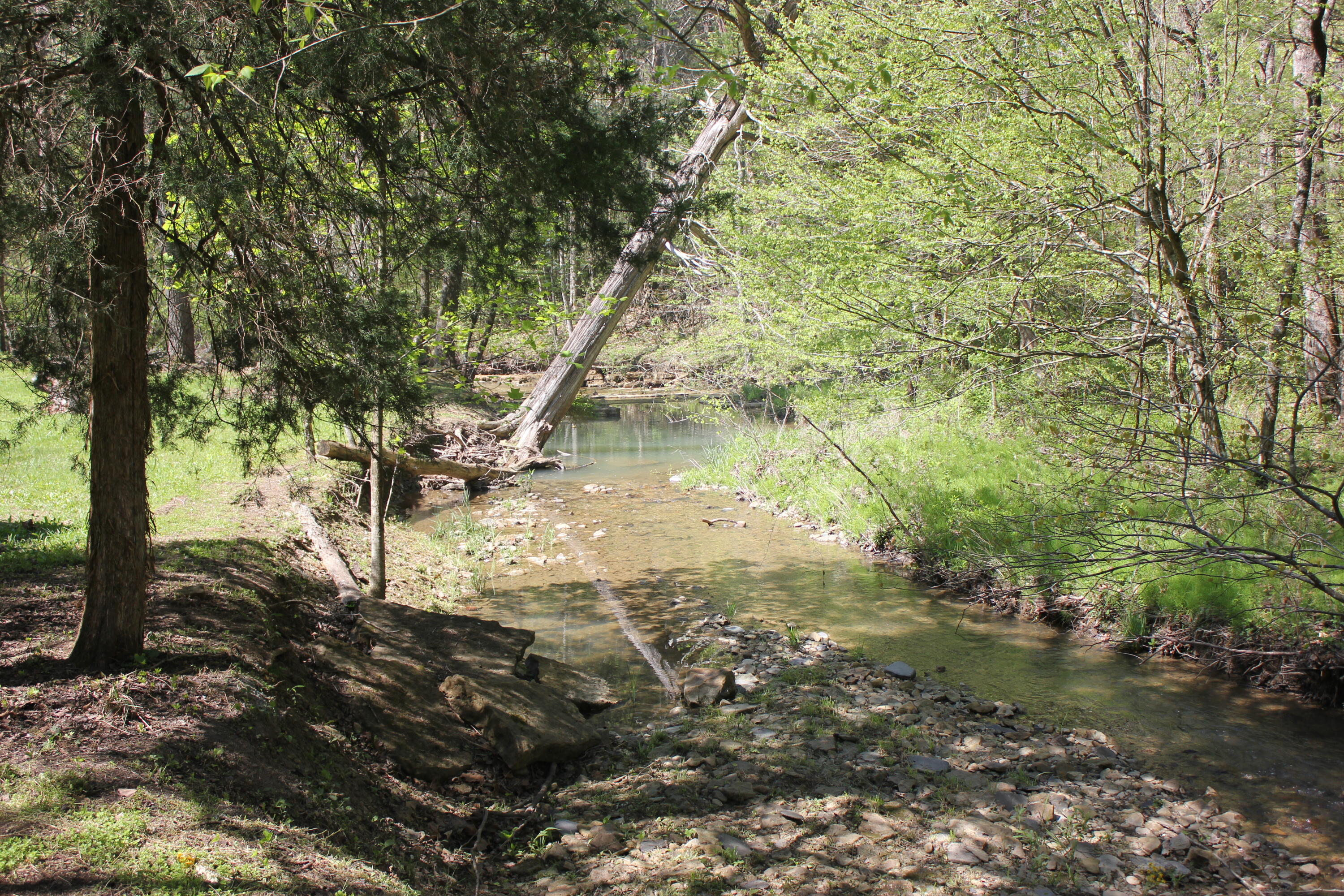 1339 Red Lick Road Berea, KY 40403 - Photo 17 of 40 IMG_0965