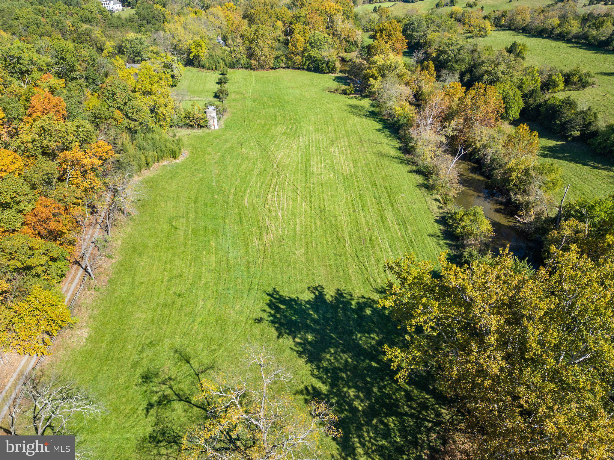 841 Shady Creek Road Clear Brook, VA 22624 - Photo 44 of 62 a view of a yard