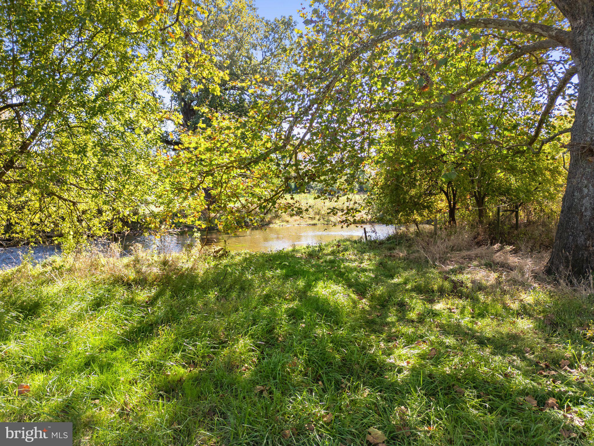 841 Shady Creek Road Clear Brook, VA 22624 - Photo 48 of 62 a view of a tree with a yard