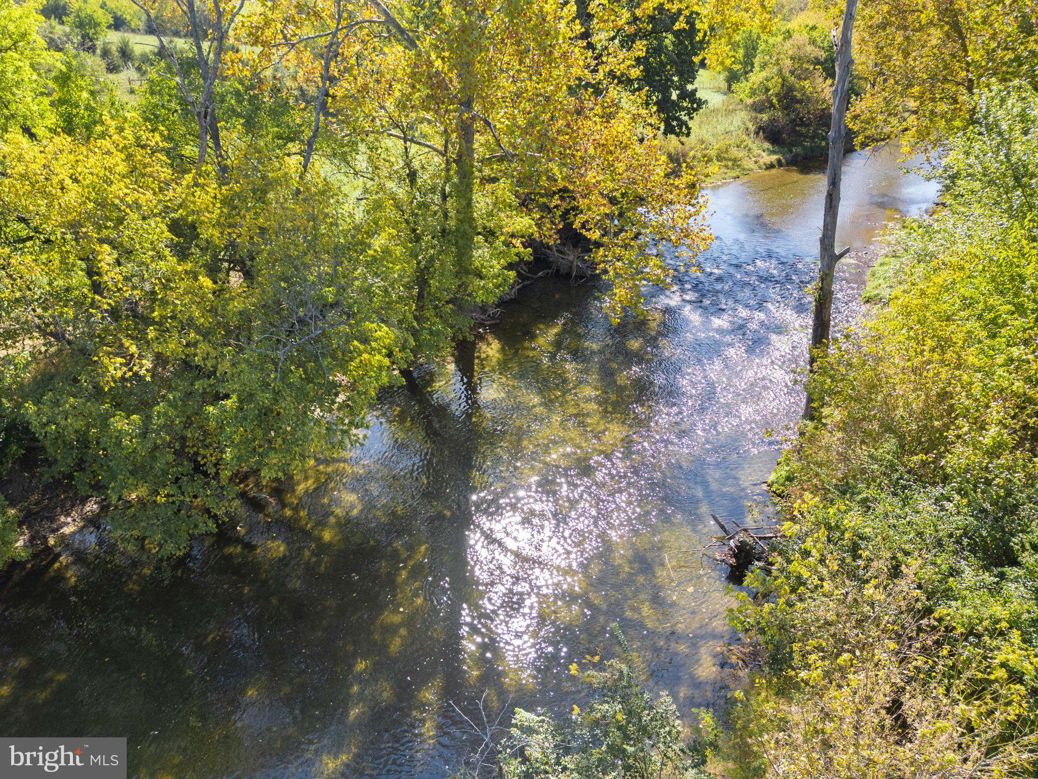 841 Shady Creek Road Clear Brook, VA 22624 - Photo 49 of 62