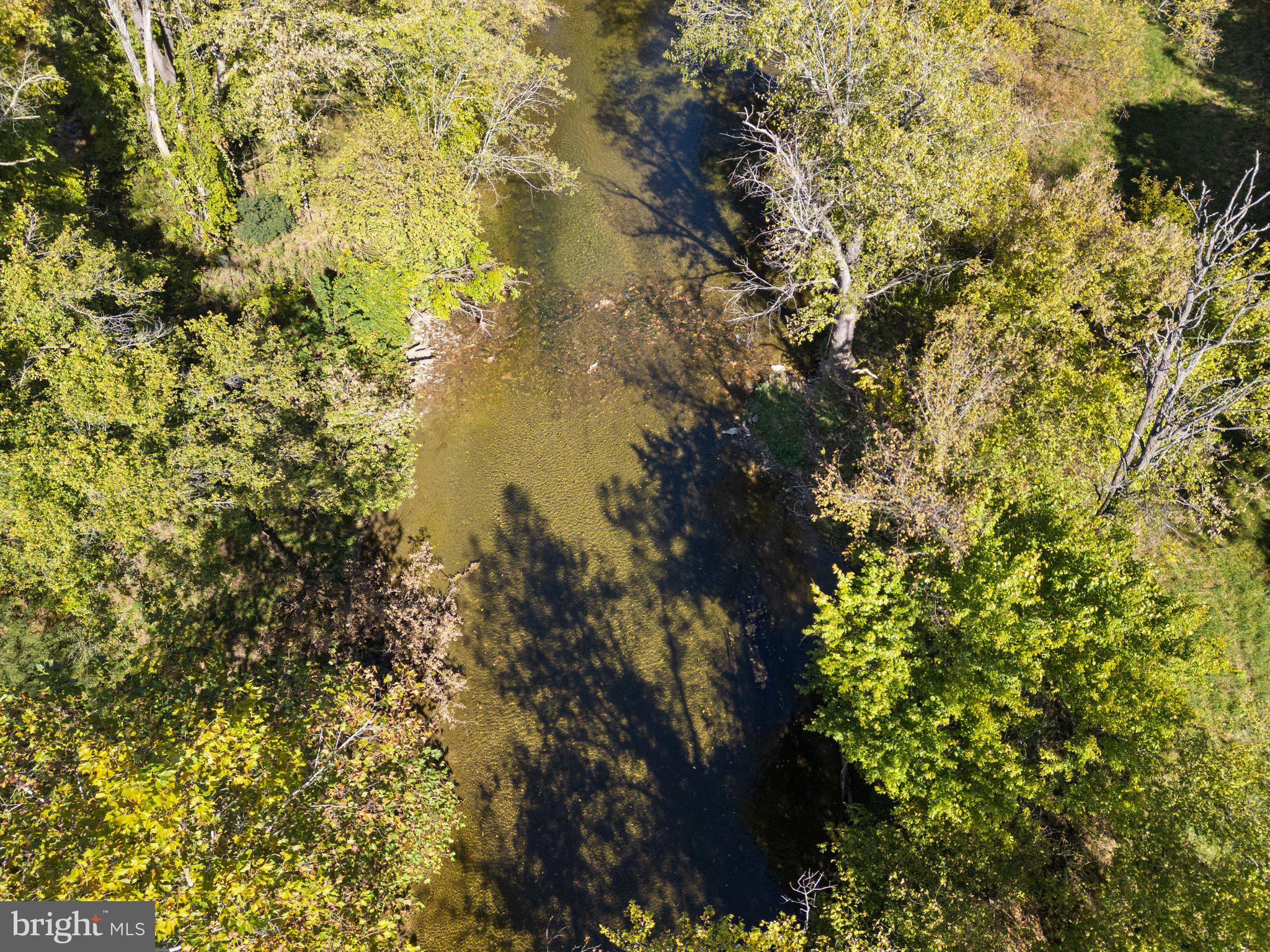 841 Shady Creek Road Clear Brook, VA 22624 - Photo 52 of 62