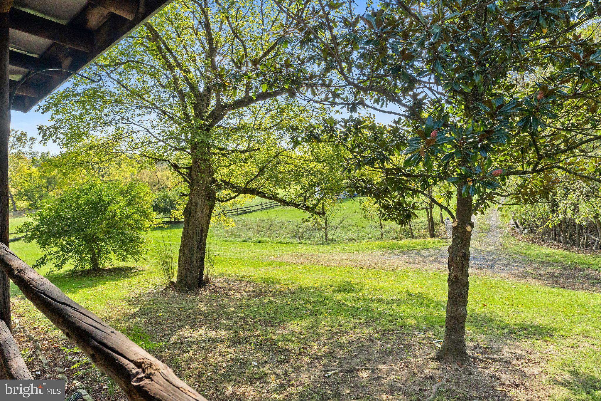 841 Shady Creek Road Clear Brook, VA 22624 - Photo 8 of 62 a view of a yard with an tree
