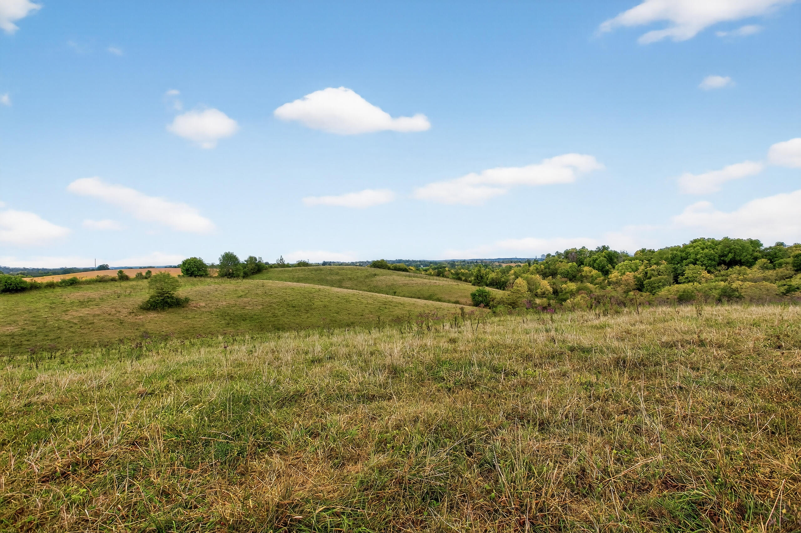 Tract A Goshen Road Stanford, KY 40484 - Photo 20 of 30 Pasture Field