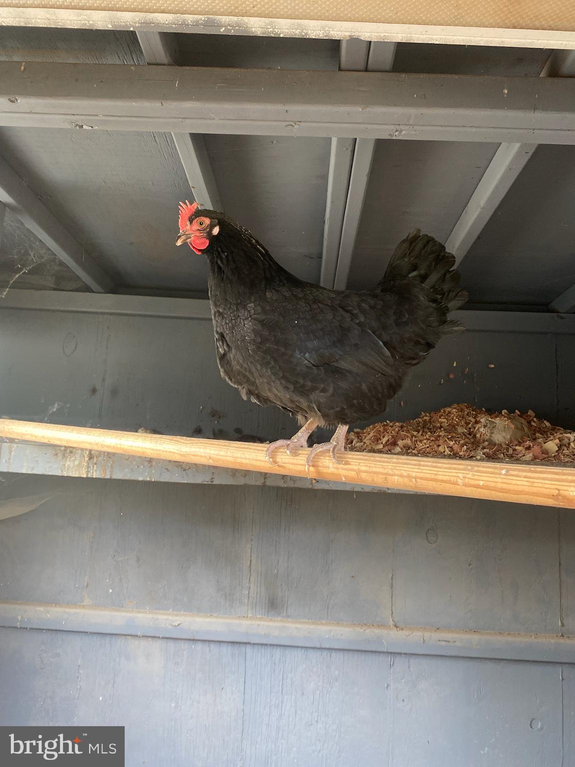 8617 Windsor Mill Road Windsor Mill, MD 21244 - Photo 76 of 76