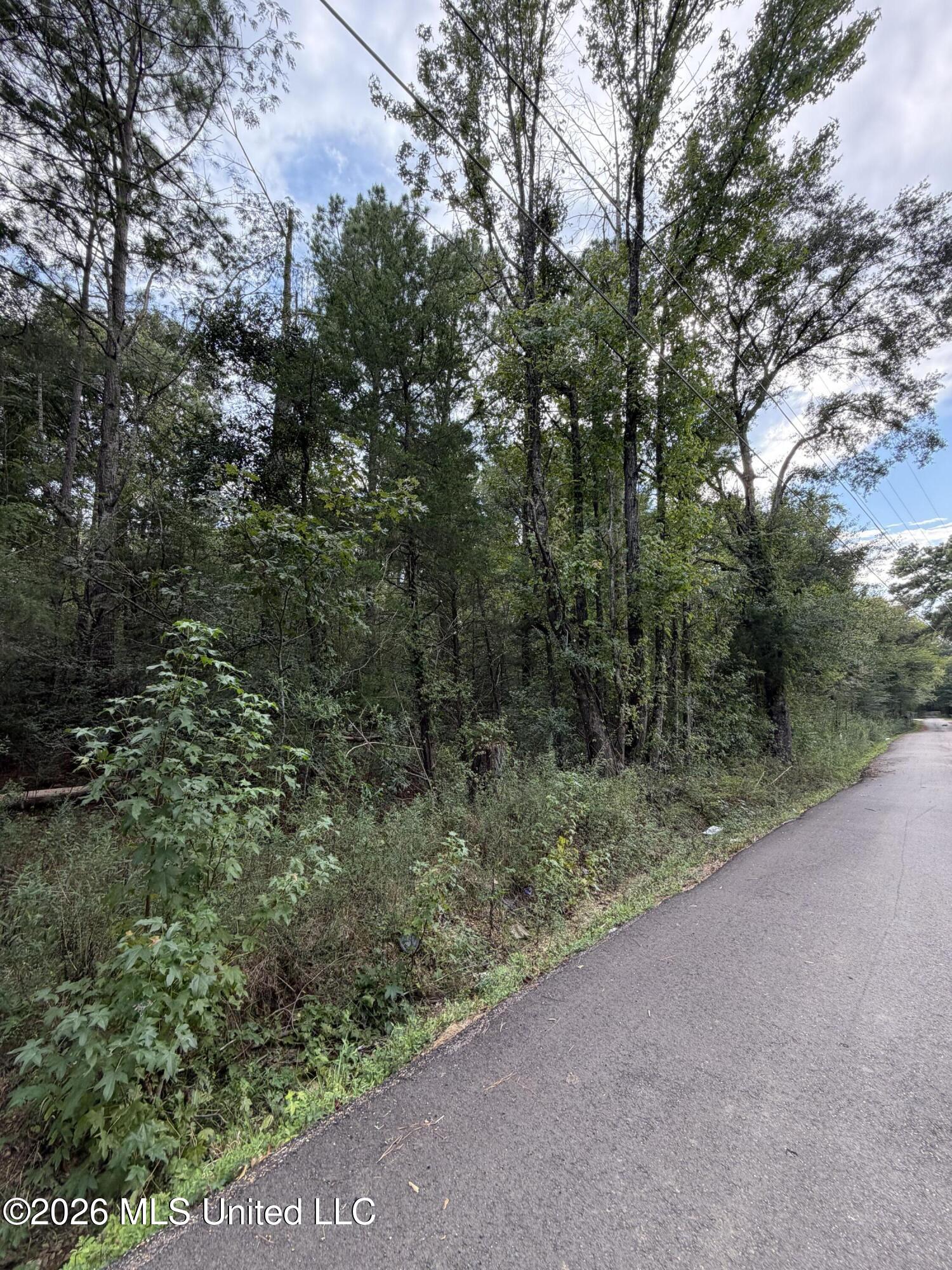Cleo Clark Road Canton, MS 39046 - Photo 2 of 4 IMG_2155