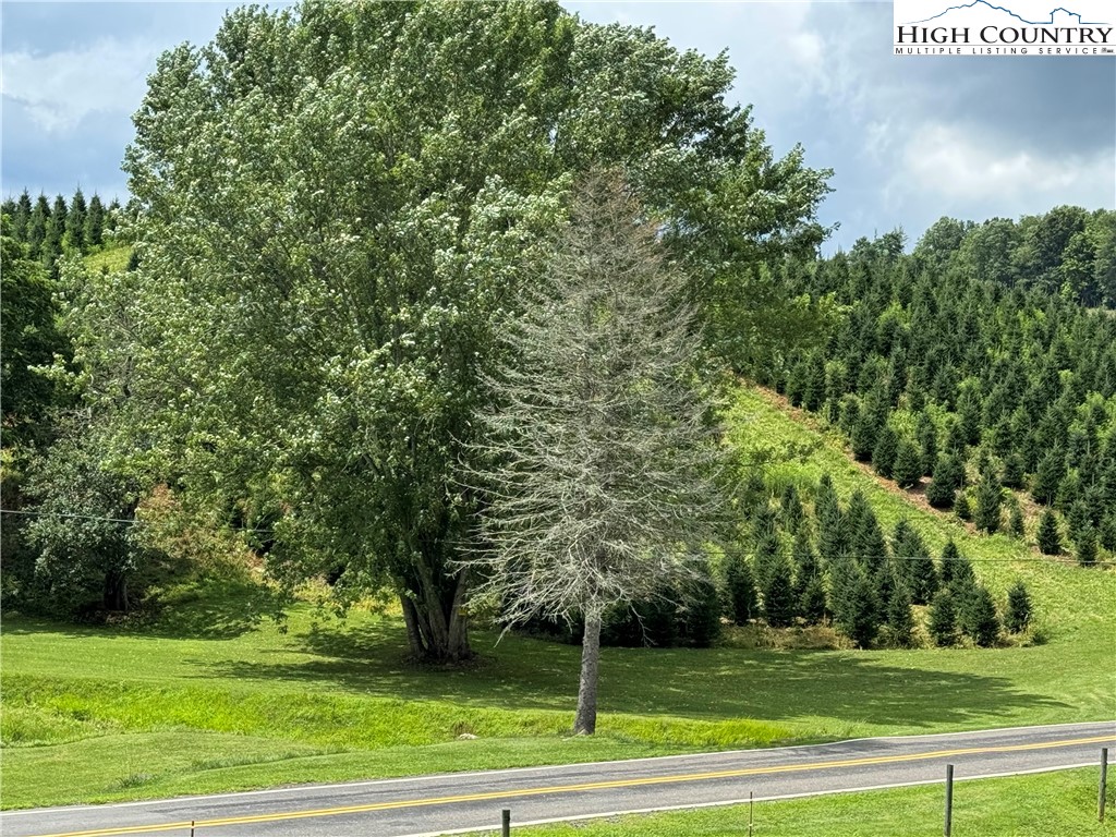 378 Edna Perry Road Crumpler, NC 28617 - Photo 39 of 50 Gallery Image 39
