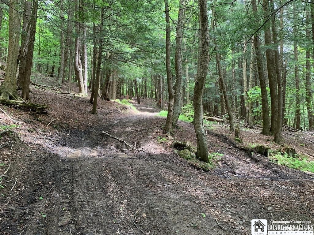 905 Waterman Road Kennedy, NY 14747 - Photo 9 of 35