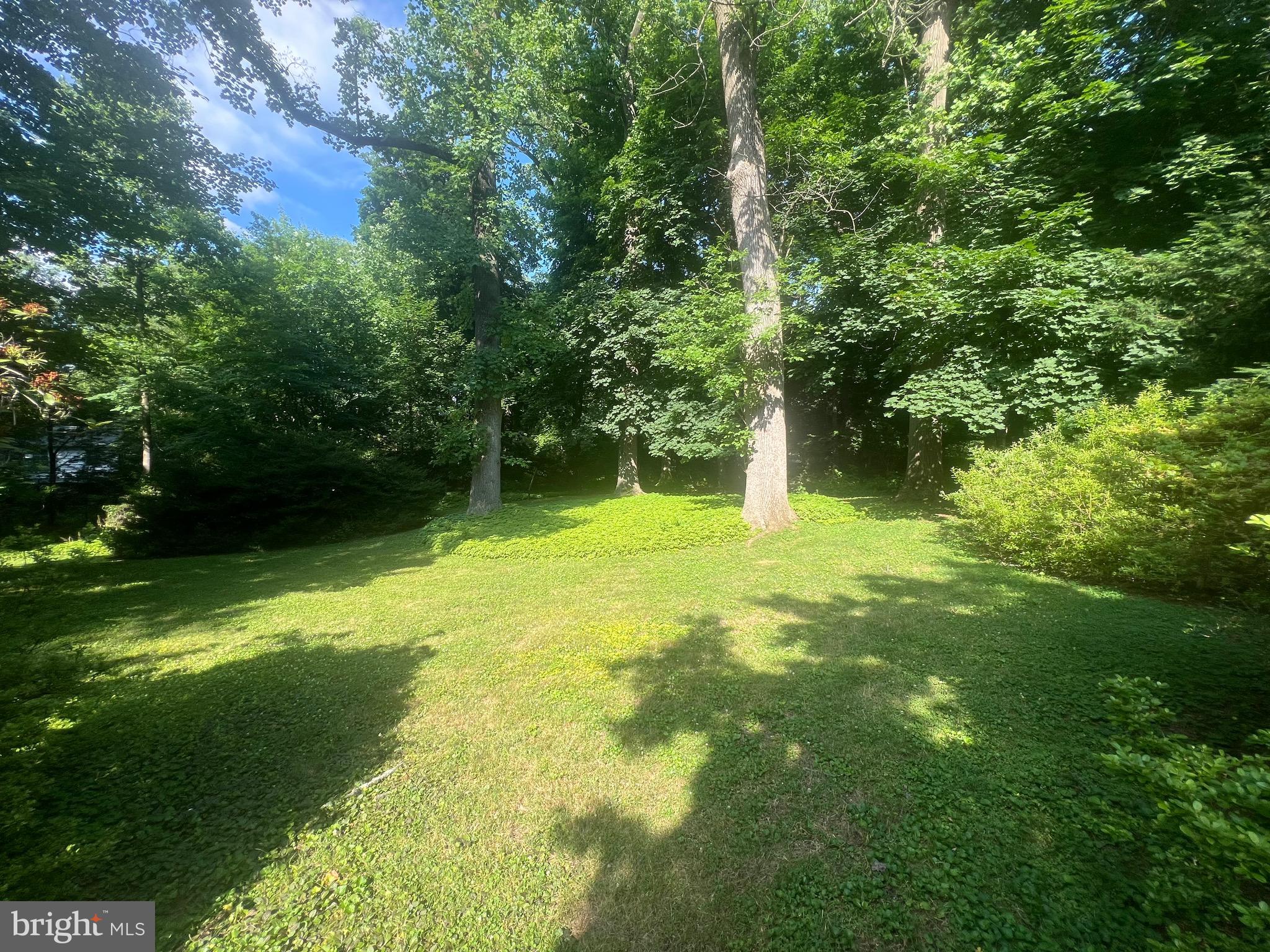 1623 Huntingdon Road Abington, PA 19001 - Photo 15 of 42 rear yard