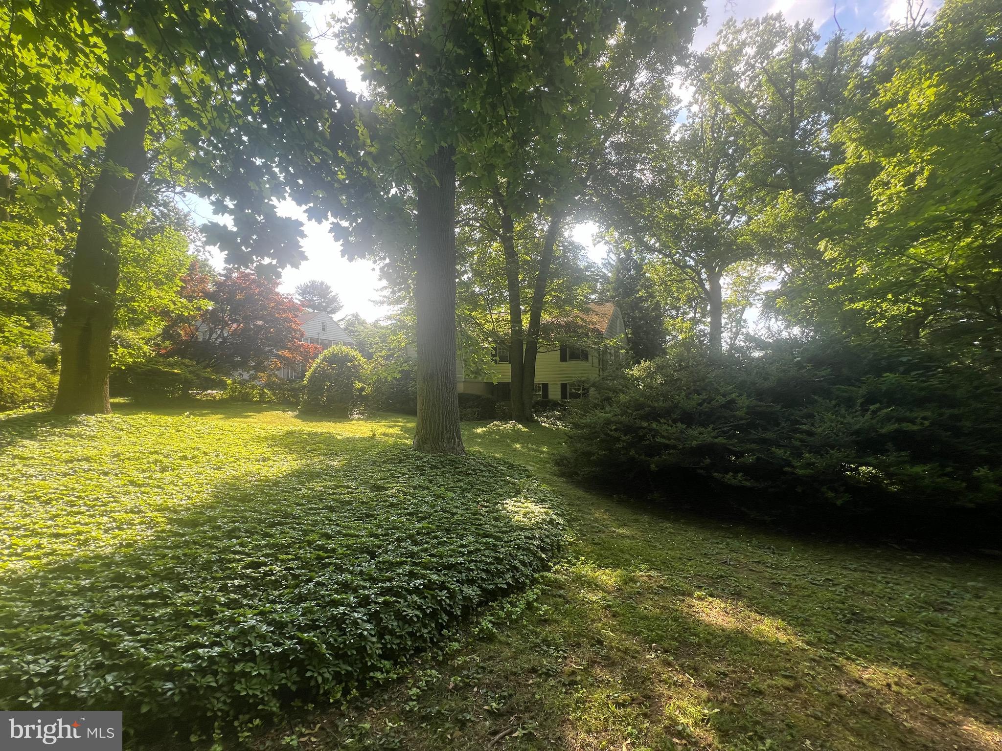 1623 Huntingdon Road Abington, PA 19001 - Photo 16 of 42 rear yard