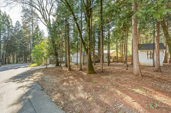 a view of a yard with large trees