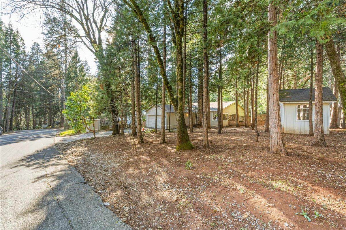 12486 Valley View Road Nevada City, CA 95959 - Photo 25 of 48 a view of a yard with large trees