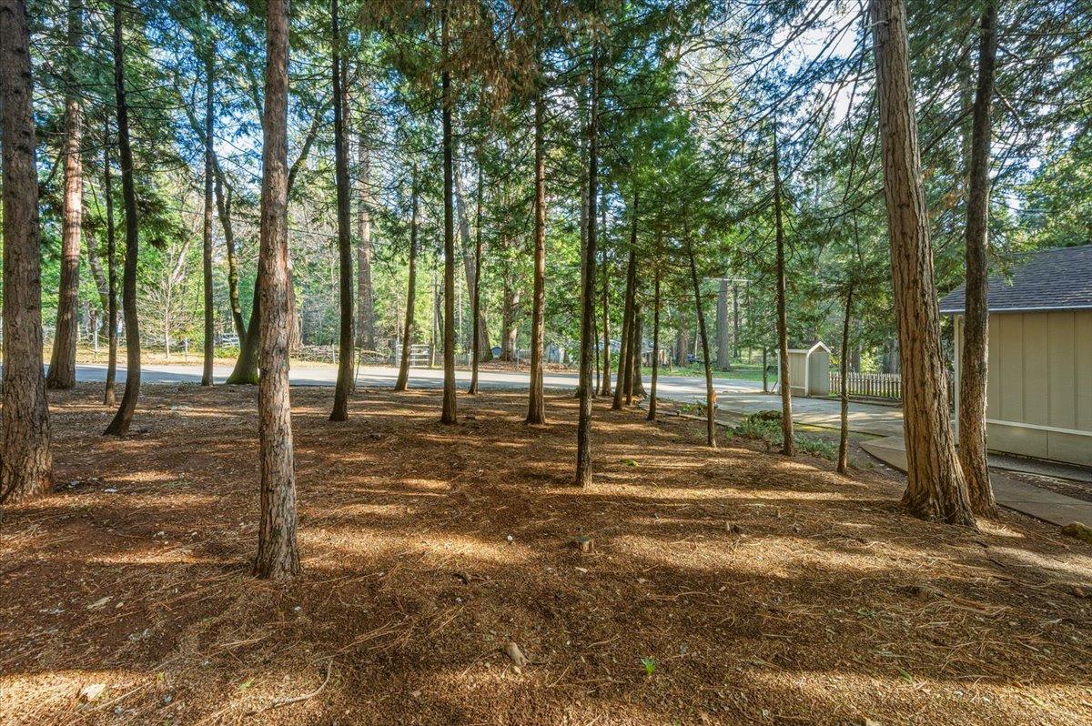 12486 Valley View Road Nevada City, CA 95959 - Photo 30 of 48 a view of basketball court