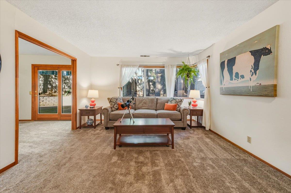 12486 Valley View Road Nevada City, CA 95959 - Photo 4 of 48 a living room with furniture and a couch
