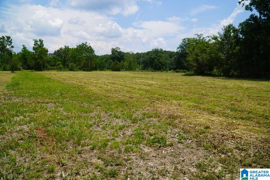 7952 Kimbrell Cutoff Road McCalla, AL 35111 - Photo 40 of 41