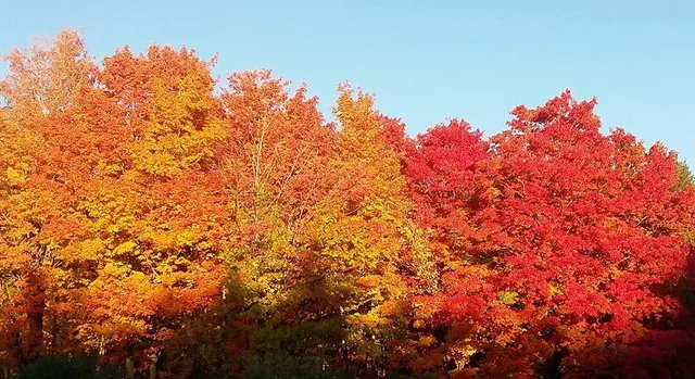 $199,900 | 15 Brigham Hall, Canandaigua, NY 14424