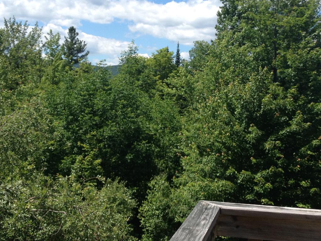 1122 Tracy Hill Road Roxbury, VT 05669 - Photo 29 of 32