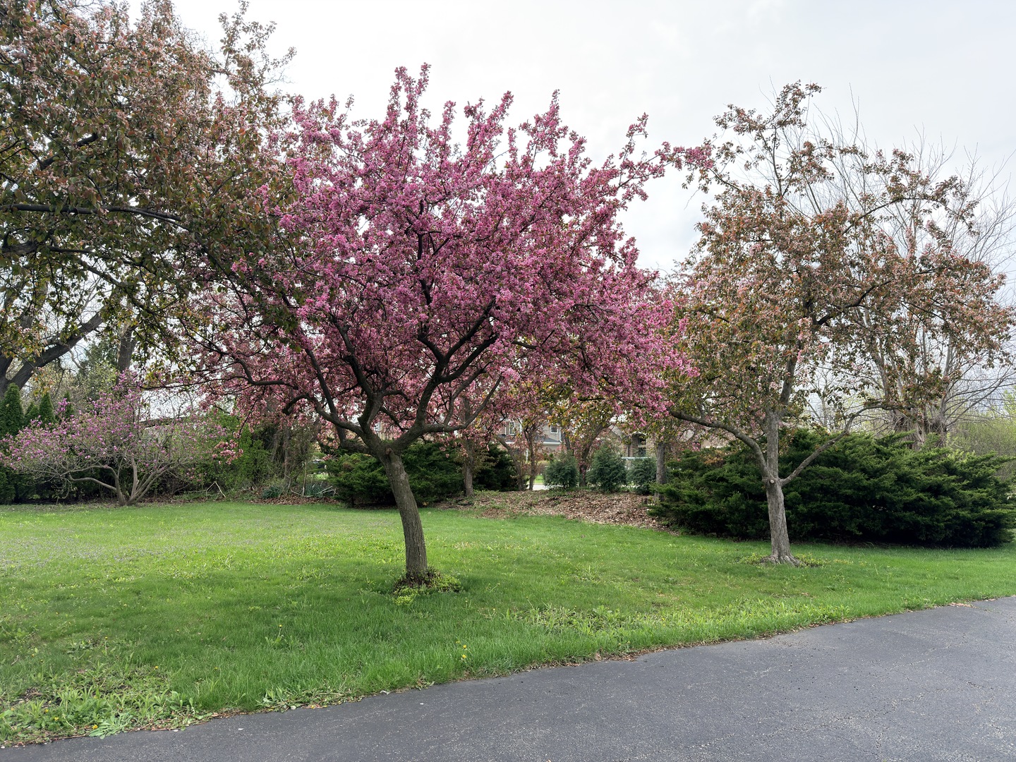 218 East Nerge Road Roselle, IL 60172 - Photo 35 of 36