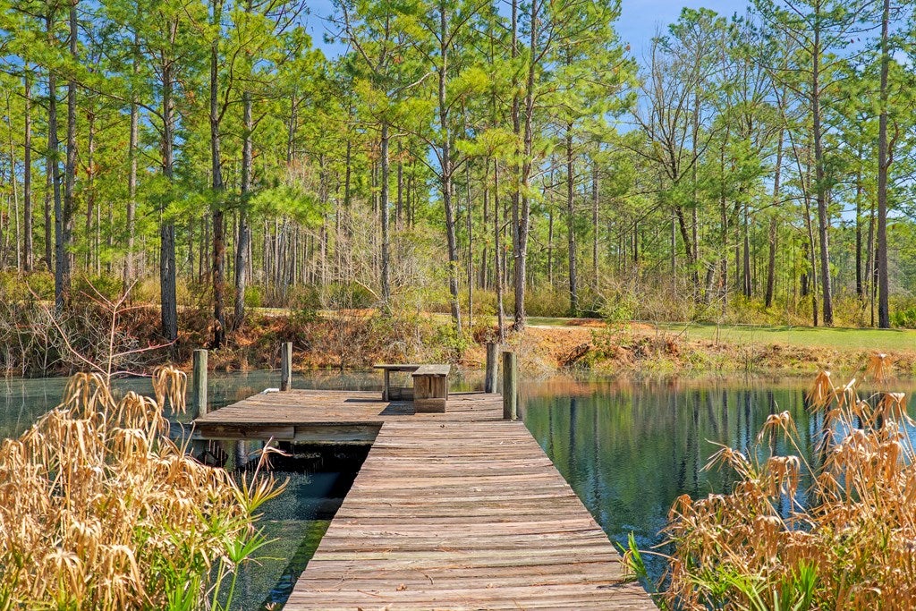 4938 Snake Nation Road Hahira, GA 31632 - Photo 74 of 85 Gallery Image 74