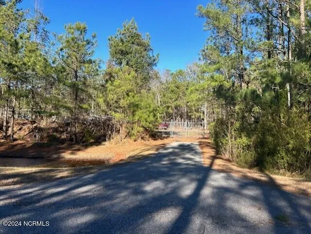 $26,500 | 203 East Dowry Creek, Belhaven, NC 27810