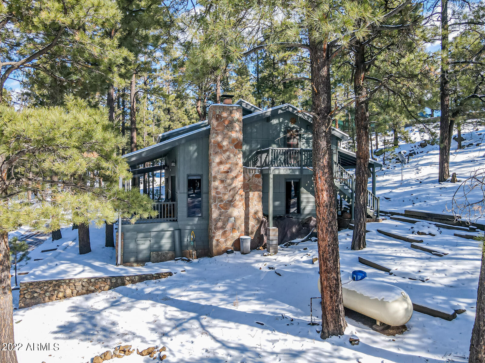 4 County Rd 1012 Lane Greer, AZ 85927 - Photo 35 of 42 d5