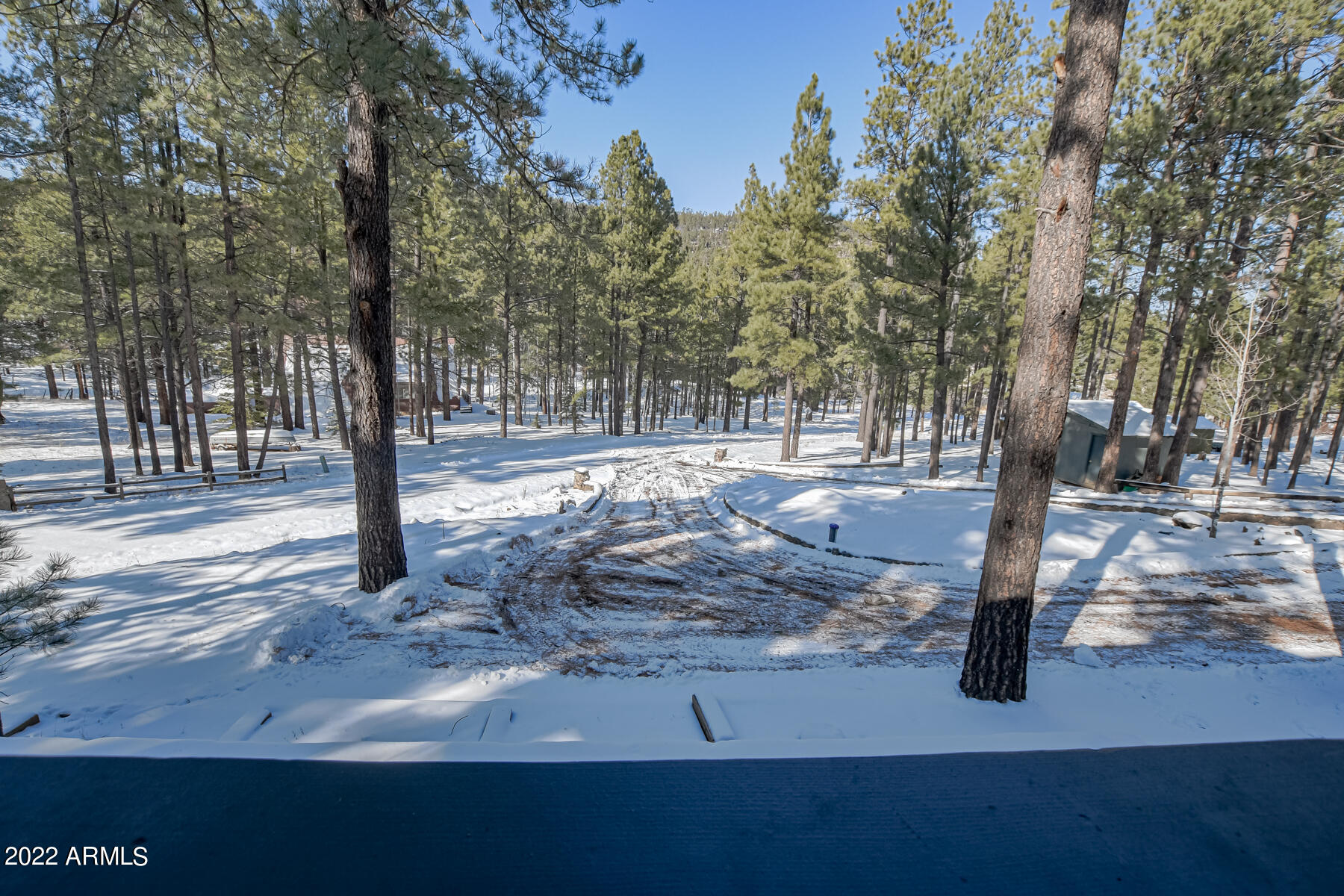 4 County Rd 1012 Lane Greer, AZ 85927 - Photo 6 of 42 1e