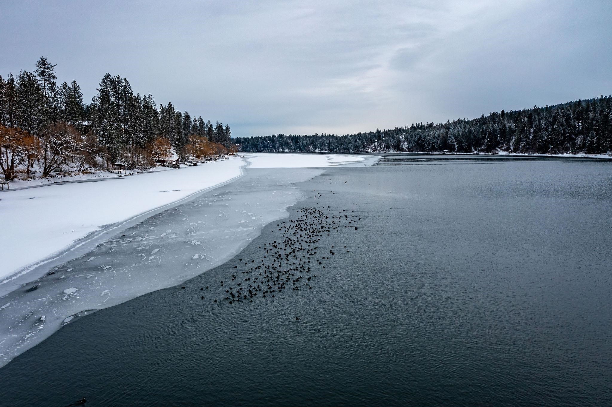 12820 West Shore Road Nine Mile Falls, WA 99026 - Photo 6 of 43