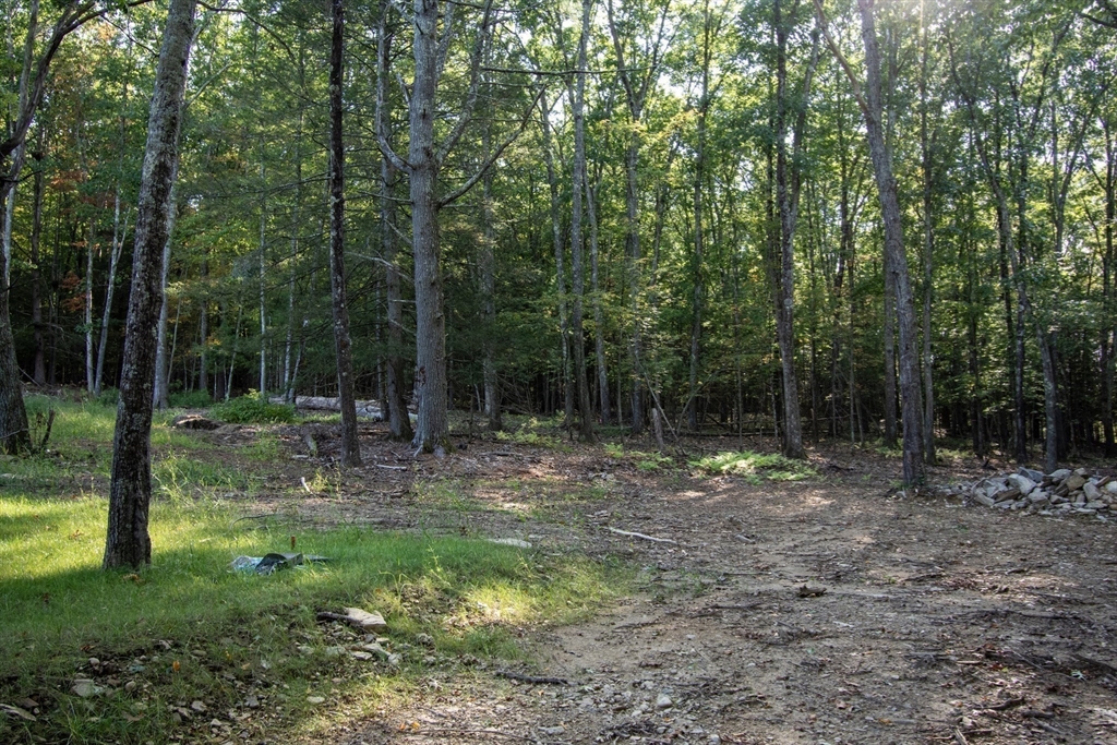126 Old Southbridge Road Dudley, MA 01571 - Photo 5 of 40