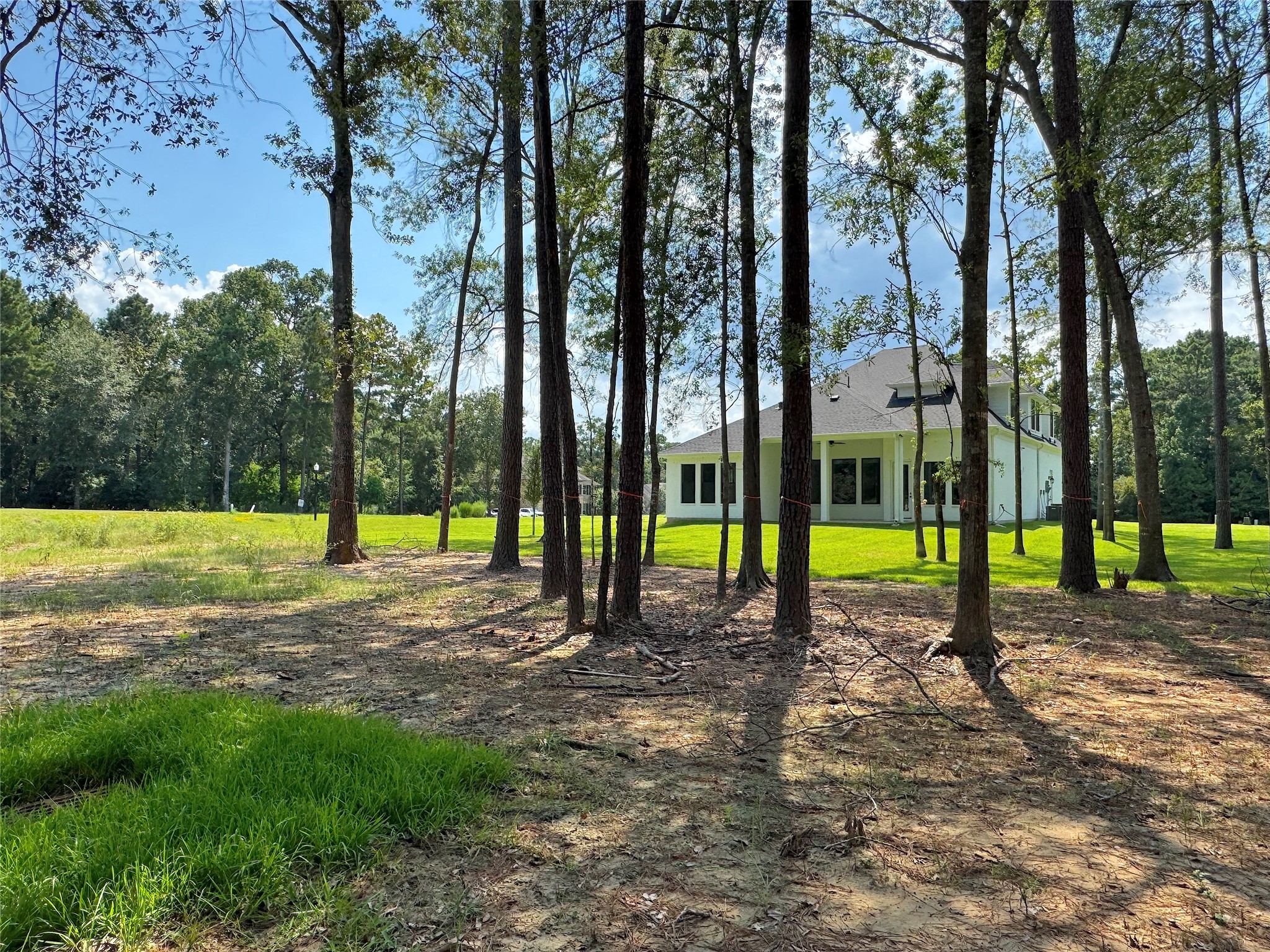 28502 Tallow Rock Lane Huffman, TX 77336 - Photo 4 of 30 a view of a park with a tree