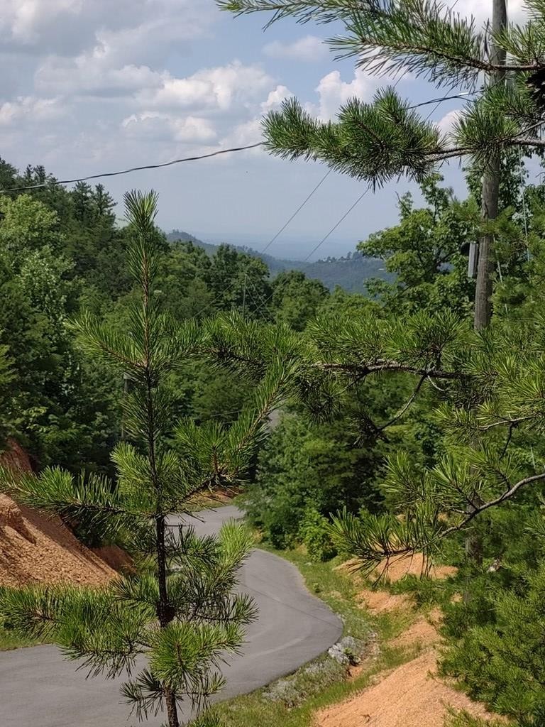 32 Nathan Way Sevierville, TN 37862 - Photo 3 of 4