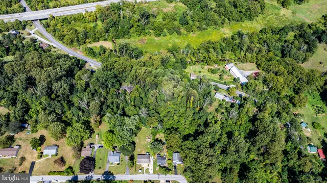 a view of a lush green forest with lots of trees