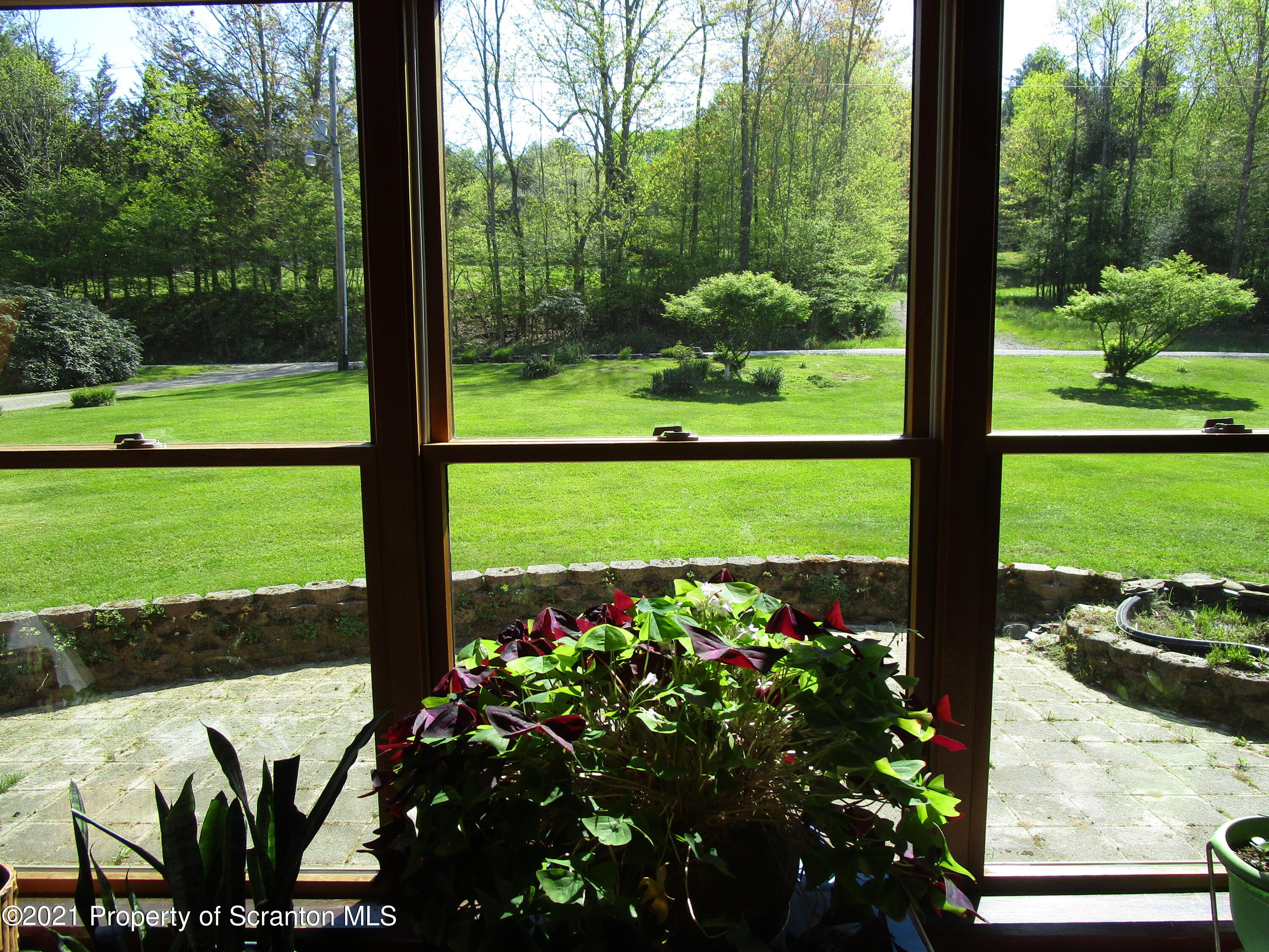 1709 Mill Creek Road Le Raysville, PA 18829 - Photo 10 of 41 a view of a garden with plants and large trees