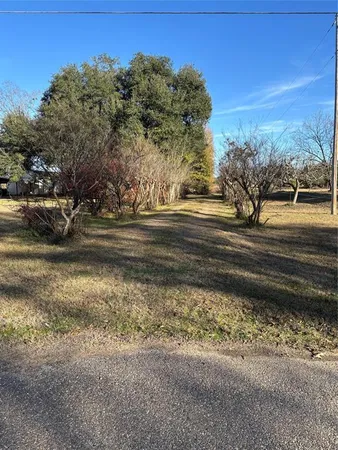 a view of a yard with a large tree