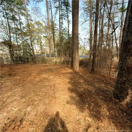 a view of backyard with tree
