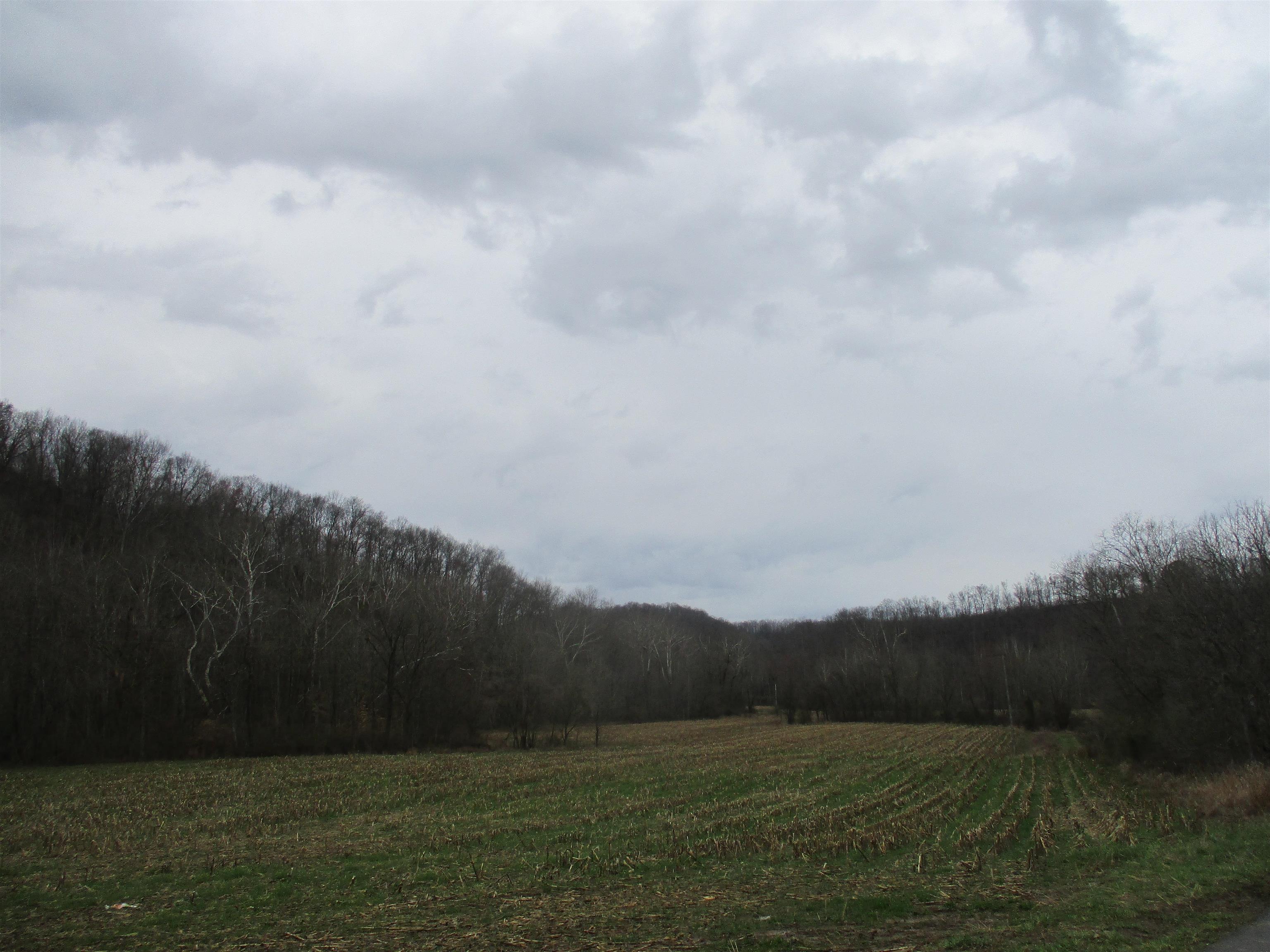 0 State Rt 207 Argillite, KY 41121 - Photo 3 of 4