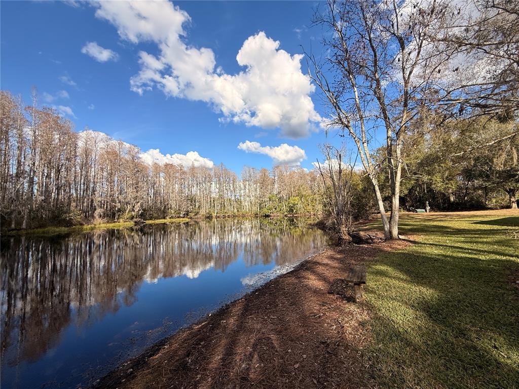 12155 Environmental Drive, Unit 6 New Port Richey, FL 34654 - Photo 2 of 42 a view of a lake with houses
