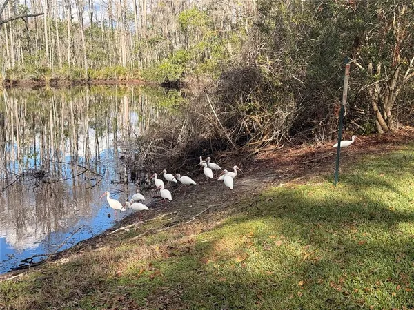 a view of a lake with a mountain
