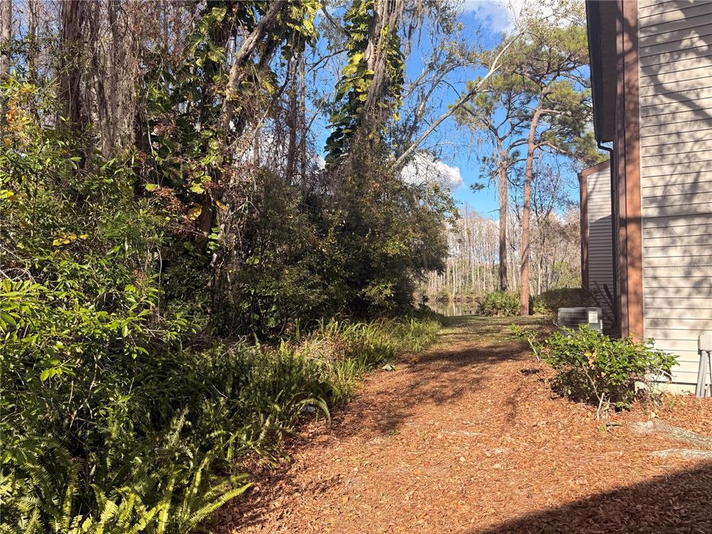 12155 Environmental Drive, Unit 6 New Port Richey, FL 34654 - Photo 27 of 42 a view of a yard with plants and trees