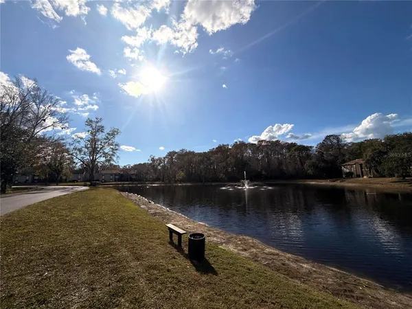 a view of empty space with trees