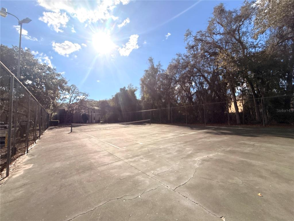 12155 Environmental Drive, Unit 6 New Port Richey, FL 34654 - Photo 30 of 42 a view of empty space with trees