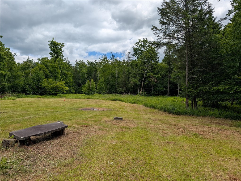 614 Neff Hill Road Bainbridge, NY 13733 - Photo 2 of 13
