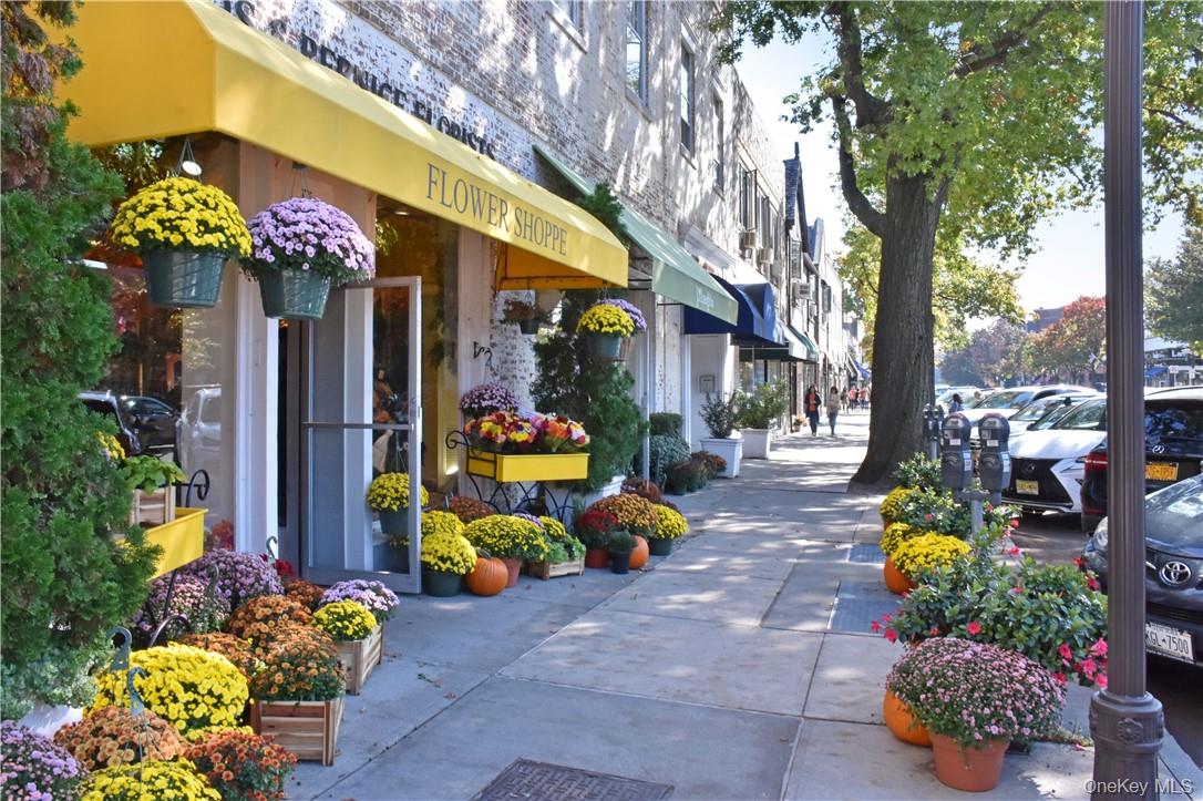 270 Bronxville Road, Unit B43 Bronxville, NY 10708 - Photo 30 of 36 a front view of a house with swimming pool and sitting area