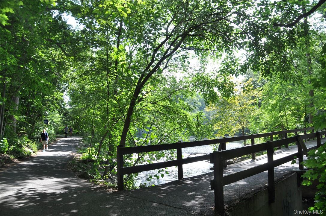 270 Bronxville Road, Unit B43 Bronxville, NY 10708 - Photo 34 of 36 a view of outdoor space with deck and tree