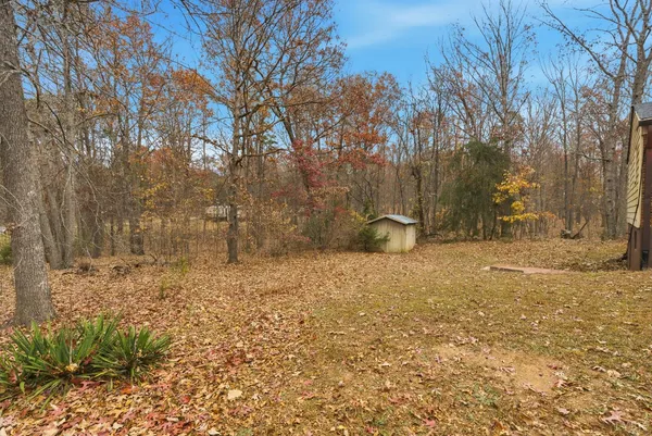 a view of a yard with large trees
