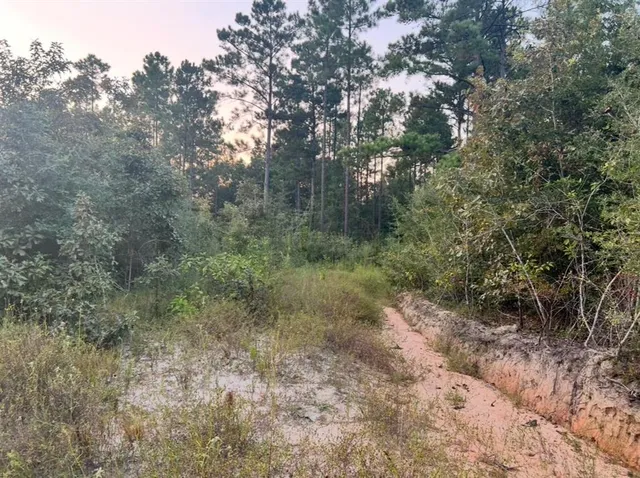 $399,900 | 0 Paul McMillian Road, Merryville, LA 70653