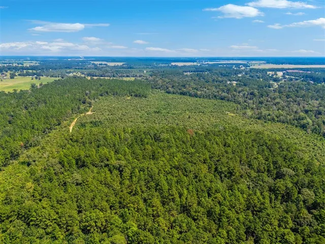 $399,900 | 0 Paul McMillian Road, Merryville, LA 70653